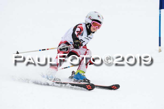 Werdenfelser Kinderskitag. mit Ziener und BZB Cup 2019