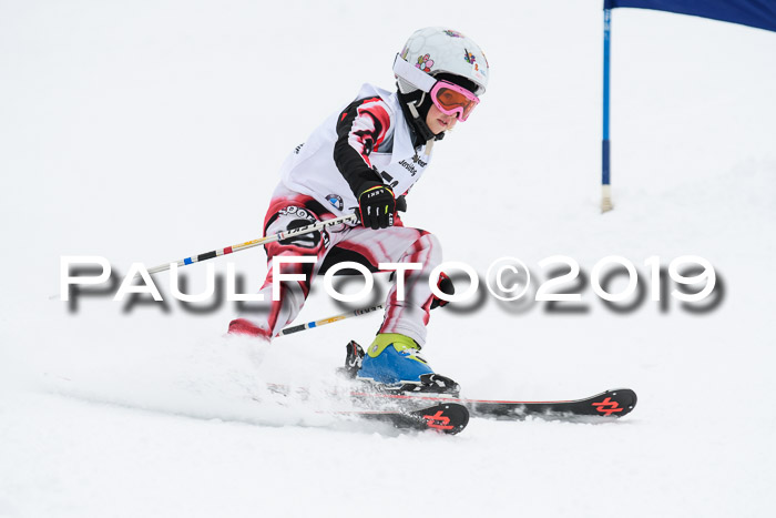 Werdenfelser Kinderskitag. mit Ziener und BZB Cup 2019