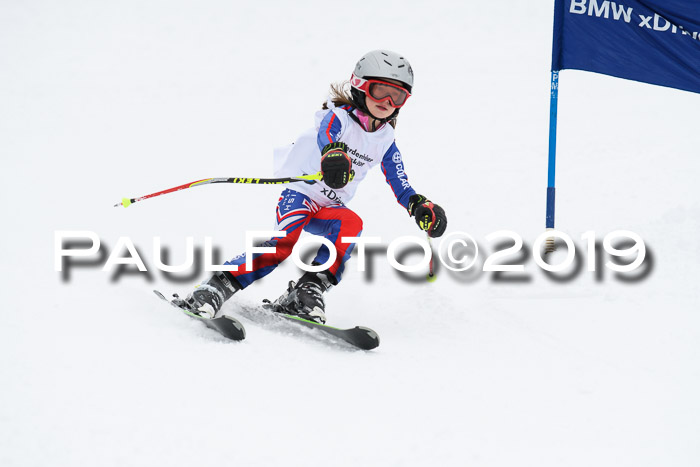 Werdenfelser Kinderskitag. mit Ziener und BZB Cup 2019