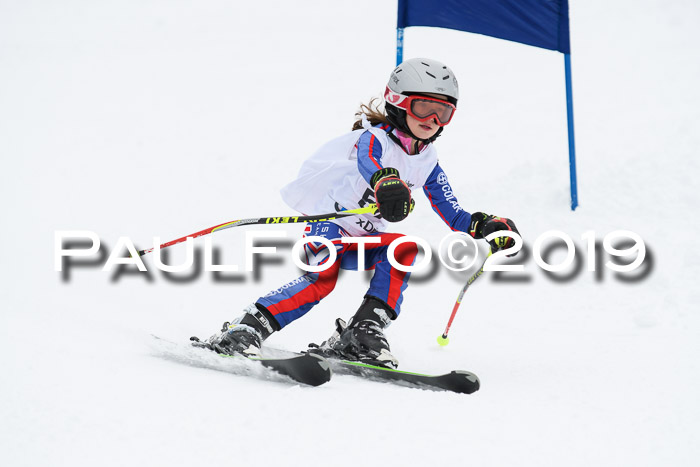 Werdenfelser Kinderskitag. mit Ziener und BZB Cup 2019