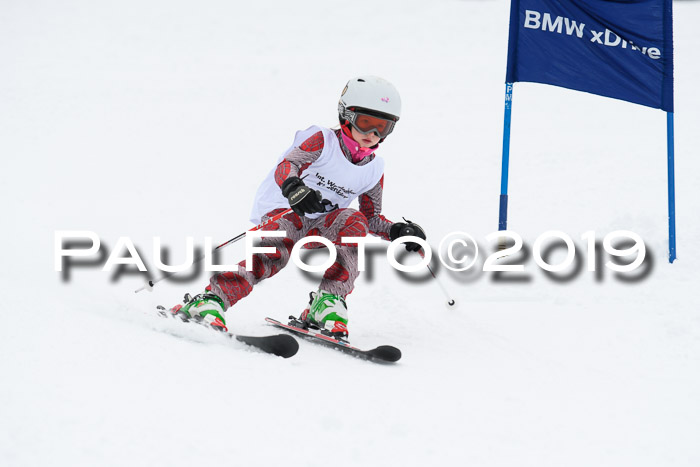 Werdenfelser Kinderskitag. mit Ziener und BZB Cup 2019