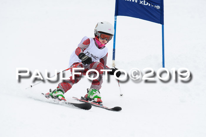 Werdenfelser Kinderskitag. mit Ziener und BZB Cup 2019