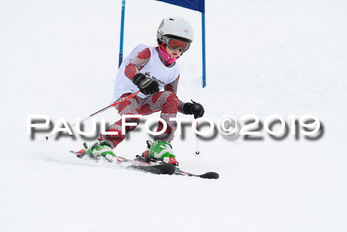 Werdenfelser Kinderskitag. mit Ziener und BZB Cup 2019