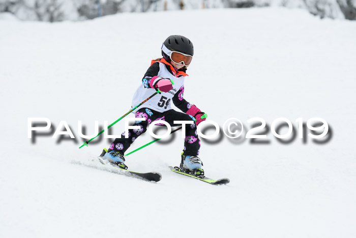 Werdenfelser Kinderskitag. mit Ziener und BZB Cup 2019