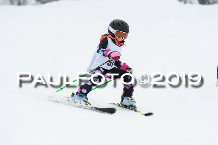 Werdenfelser Kinderskitag. mit Ziener und BZB Cup 2019