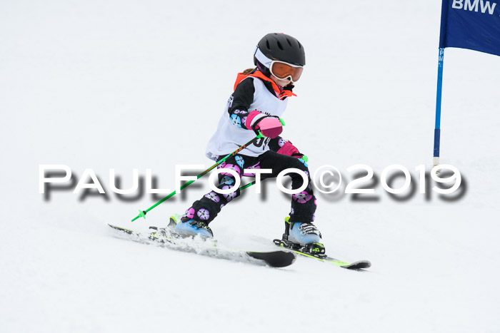 Werdenfelser Kinderskitag. mit Ziener und BZB Cup 2019