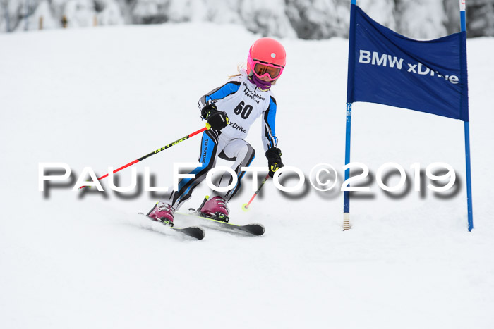 Werdenfelser Kinderskitag. mit Ziener und BZB Cup 2019