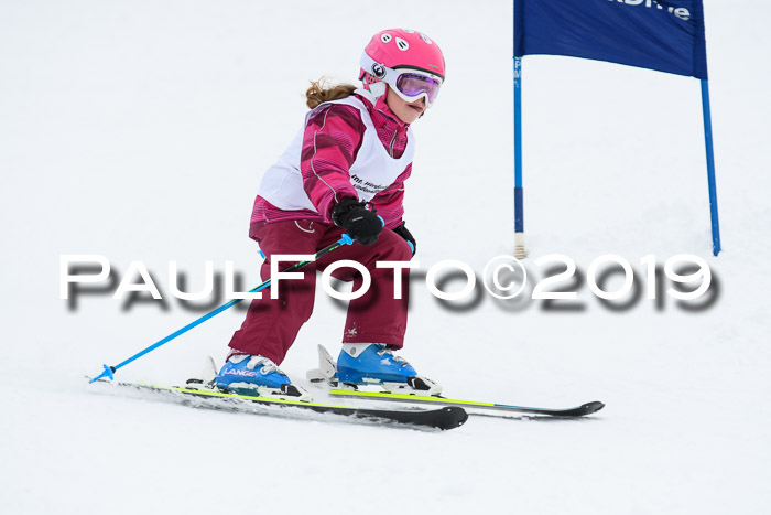 Werdenfelser Kinderskitag. mit Ziener und BZB Cup 2019