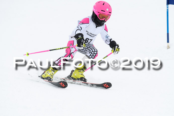 Werdenfelser Kinderskitag. mit Ziener und BZB Cup 2019