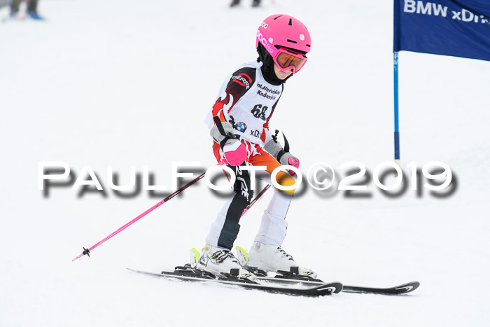 Werdenfelser Kinderskitag. mit Ziener und BZB Cup 2019