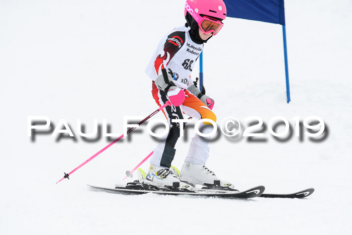 Werdenfelser Kinderskitag. mit Ziener und BZB Cup 2019