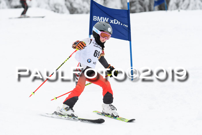 Werdenfelser Kinderskitag. mit Ziener und BZB Cup 2019