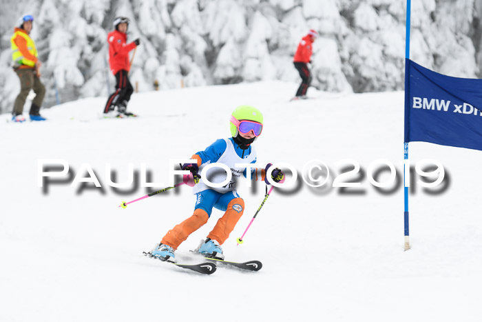Werdenfelser Kinderskitag. mit Ziener und BZB Cup 2019