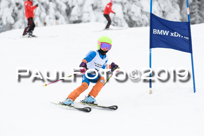Werdenfelser Kinderskitag. mit Ziener und BZB Cup 2019