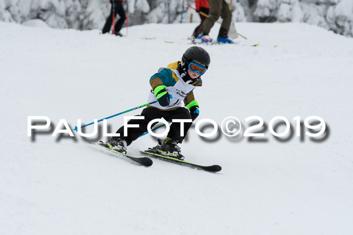 Werdenfelser Kinderskitag. mit Ziener und BZB Cup 2019