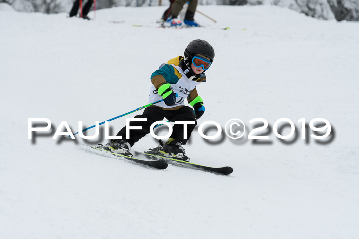 Werdenfelser Kinderskitag. mit Ziener und BZB Cup 2019