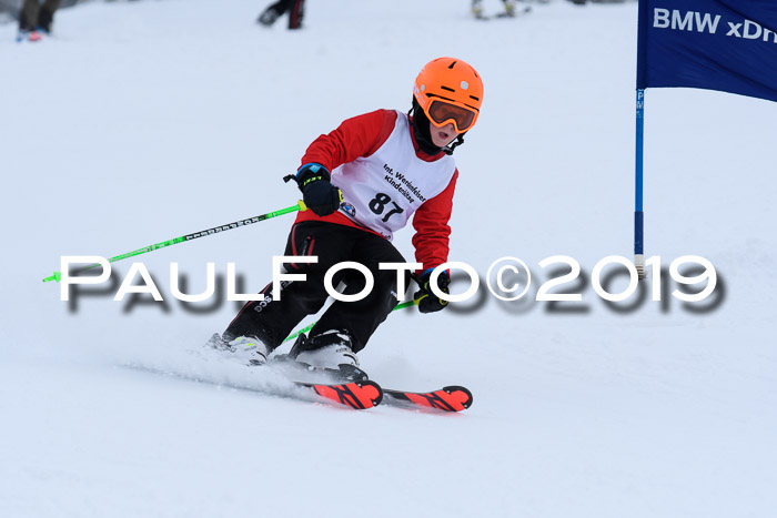 Werdenfelser Kinderskitag. mit Ziener und BZB Cup 2019