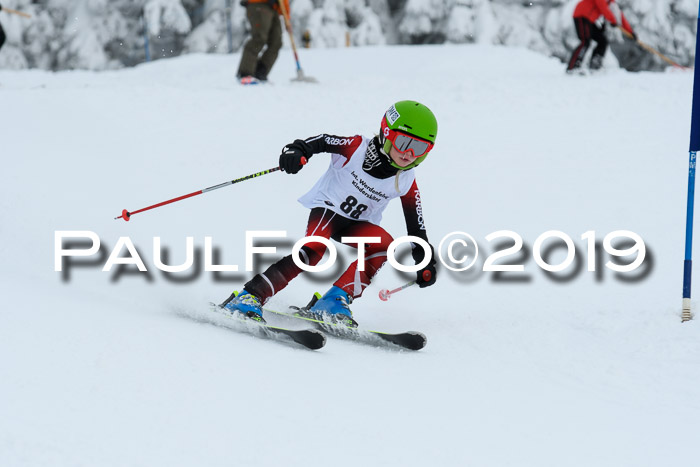 Werdenfelser Kinderskitag. mit Ziener und BZB Cup 2019