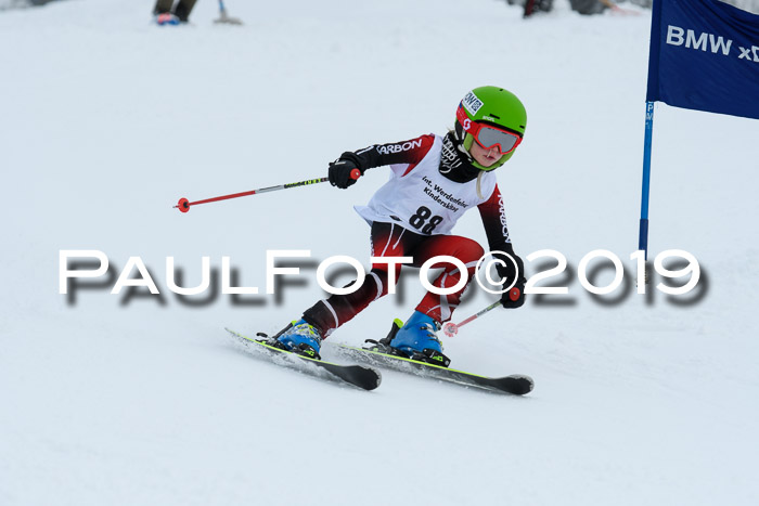 Werdenfelser Kinderskitag. mit Ziener und BZB Cup 2019