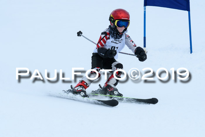 Werdenfelser Kinderskitag. mit Ziener und BZB Cup 2019