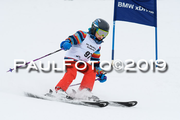 Werdenfelser Kinderskitag. mit Ziener und BZB Cup 2019
