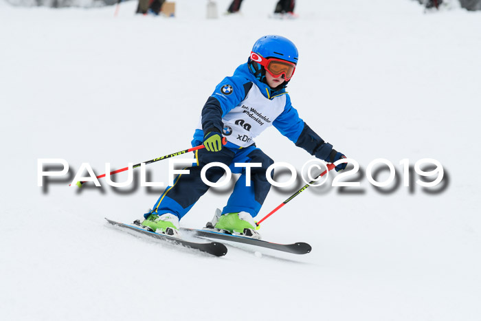 Werdenfelser Kinderskitag. mit Ziener und BZB Cup 2019