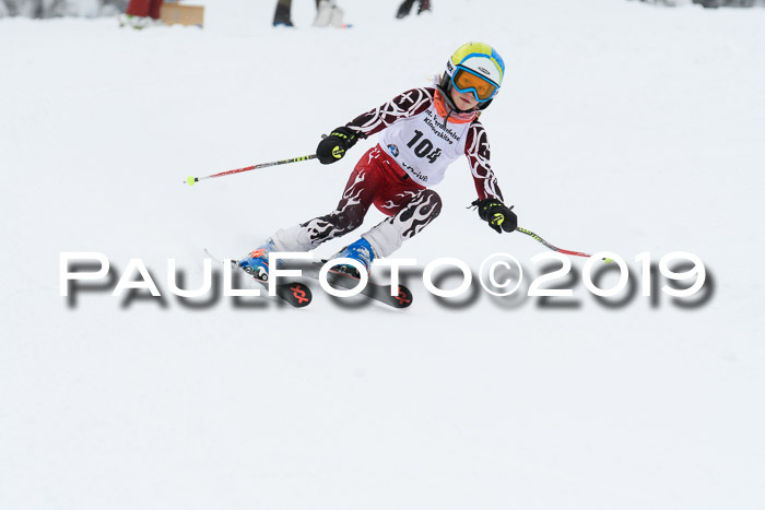 Werdenfelser Kinderskitag. mit Ziener und BZB Cup 2019