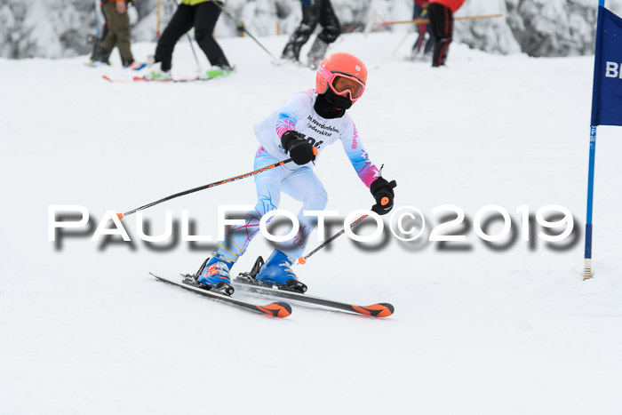 Werdenfelser Kinderskitag. mit Ziener und BZB Cup 2019