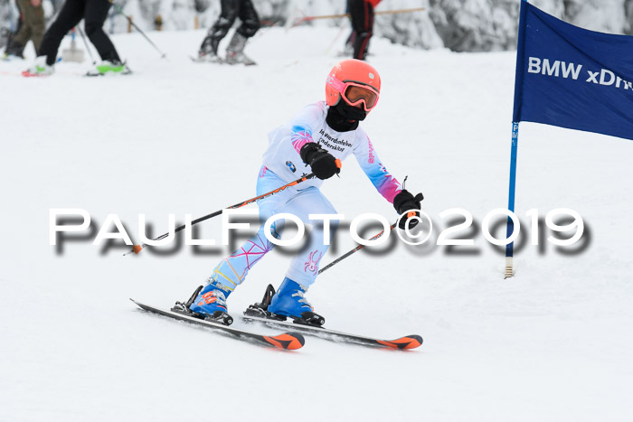 Werdenfelser Kinderskitag. mit Ziener und BZB Cup 2019