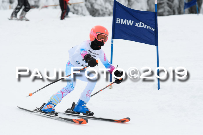 Werdenfelser Kinderskitag. mit Ziener und BZB Cup 2019