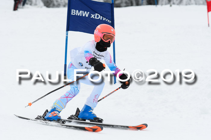 Werdenfelser Kinderskitag. mit Ziener und BZB Cup 2019