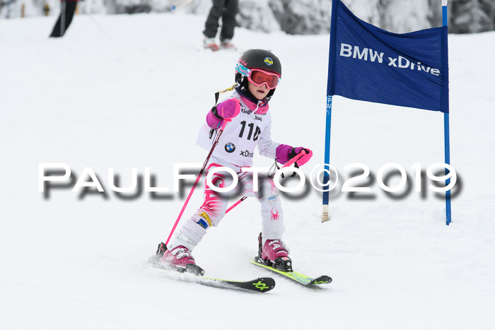Werdenfelser Kinderskitag. mit Ziener und BZB Cup 2019