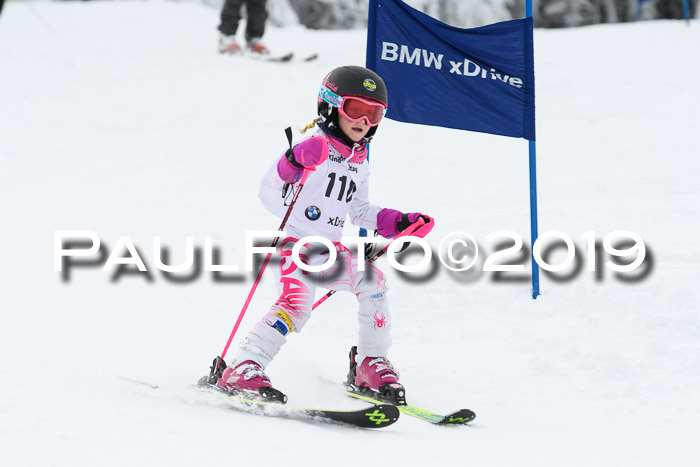 Werdenfelser Kinderskitag. mit Ziener und BZB Cup 2019