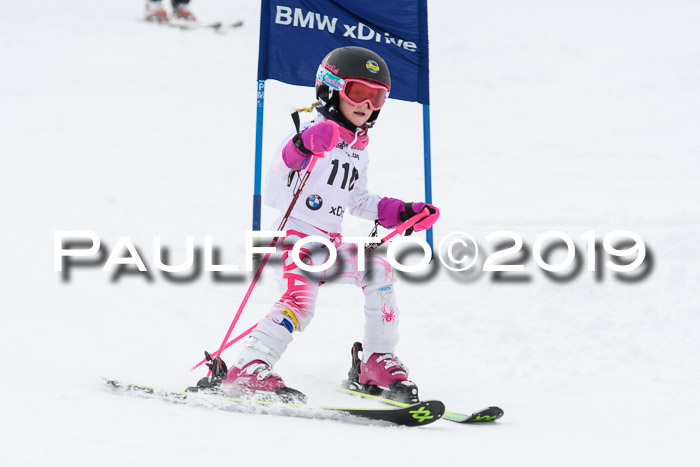 Werdenfelser Kinderskitag. mit Ziener und BZB Cup 2019