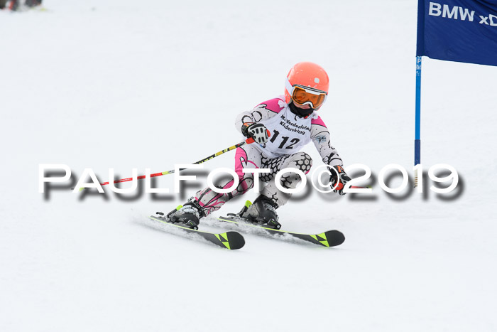 Werdenfelser Kinderskitag. mit Ziener und BZB Cup 2019