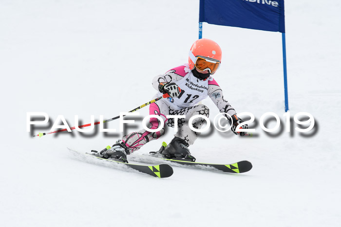 Werdenfelser Kinderskitag. mit Ziener und BZB Cup 2019