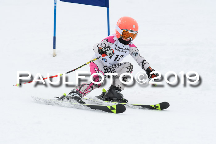 Werdenfelser Kinderskitag. mit Ziener und BZB Cup 2019