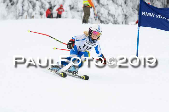 Werdenfelser Kinderskitag. mit Ziener und BZB Cup 2019