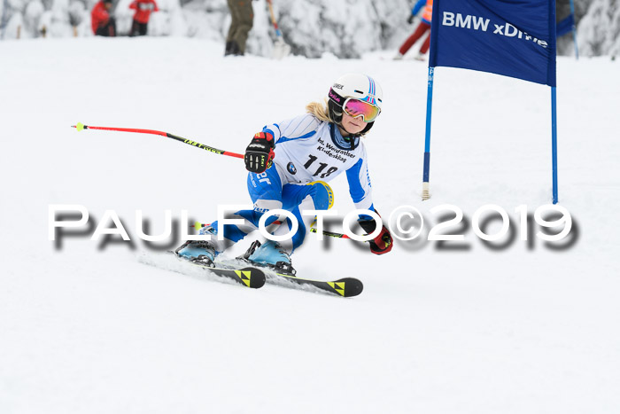 Werdenfelser Kinderskitag. mit Ziener und BZB Cup 2019