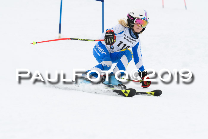 Werdenfelser Kinderskitag. mit Ziener und BZB Cup 2019