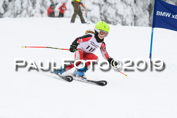 Werdenfelser Kinderskitag. mit Ziener und BZB Cup 2019