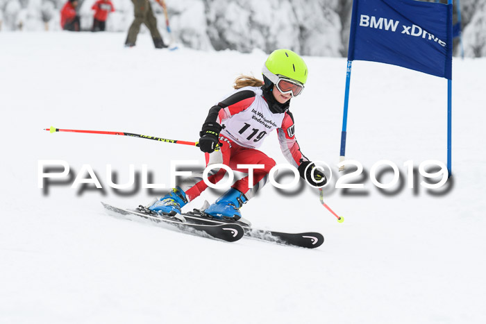 Werdenfelser Kinderskitag. mit Ziener und BZB Cup 2019