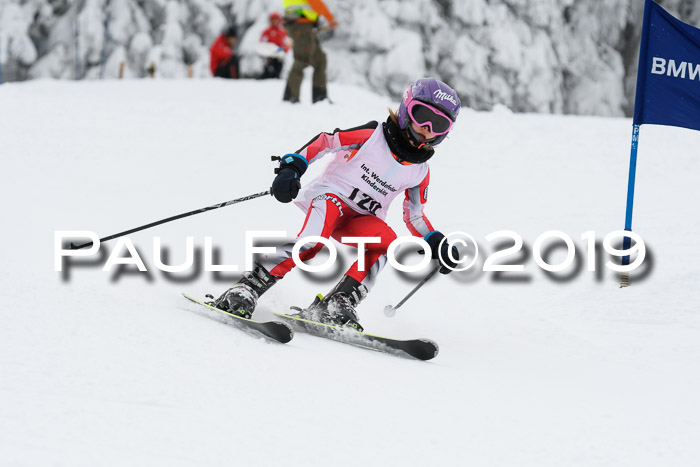 Werdenfelser Kinderskitag. mit Ziener und BZB Cup 2019