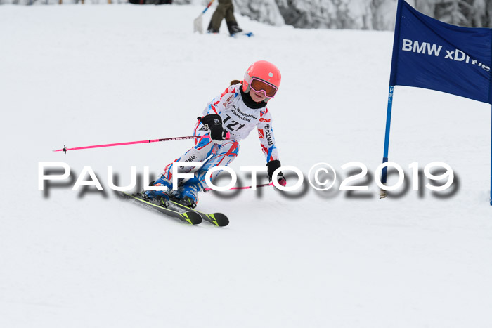 Werdenfelser Kinderskitag. mit Ziener und BZB Cup 2019