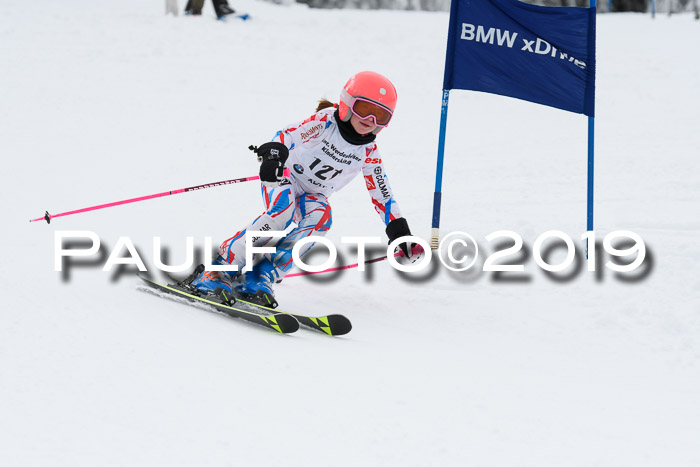 Werdenfelser Kinderskitag. mit Ziener und BZB Cup 2019