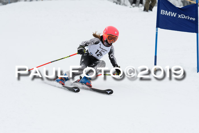 Werdenfelser Kinderskitag. mit Ziener und BZB Cup 2019