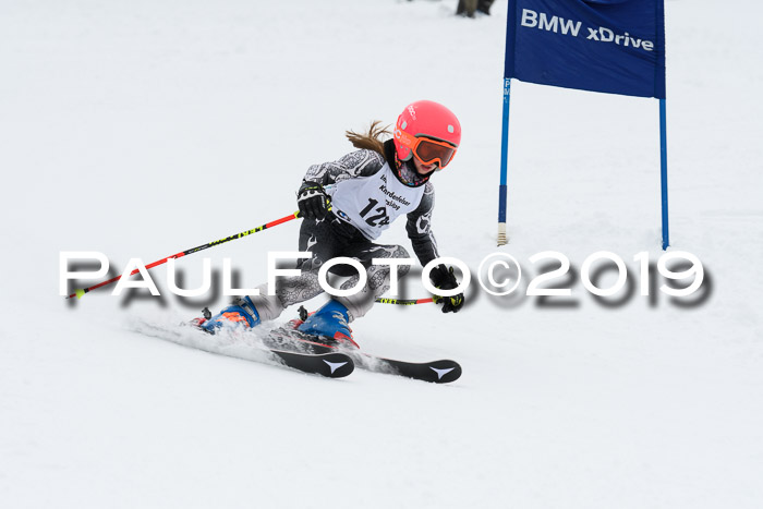Werdenfelser Kinderskitag. mit Ziener und BZB Cup 2019