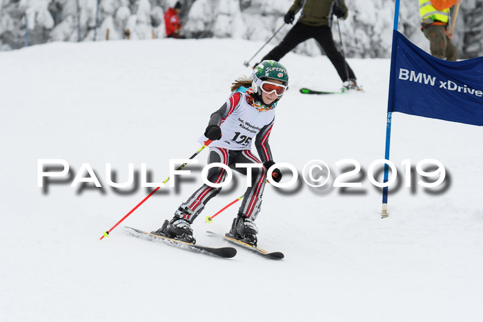 Werdenfelser Kinderskitag. mit Ziener und BZB Cup 2019