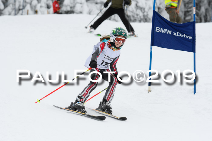 Werdenfelser Kinderskitag. mit Ziener und BZB Cup 2019