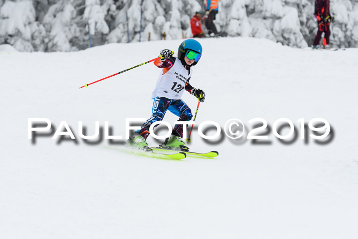 Werdenfelser Kinderskitag. mit Ziener und BZB Cup 2019